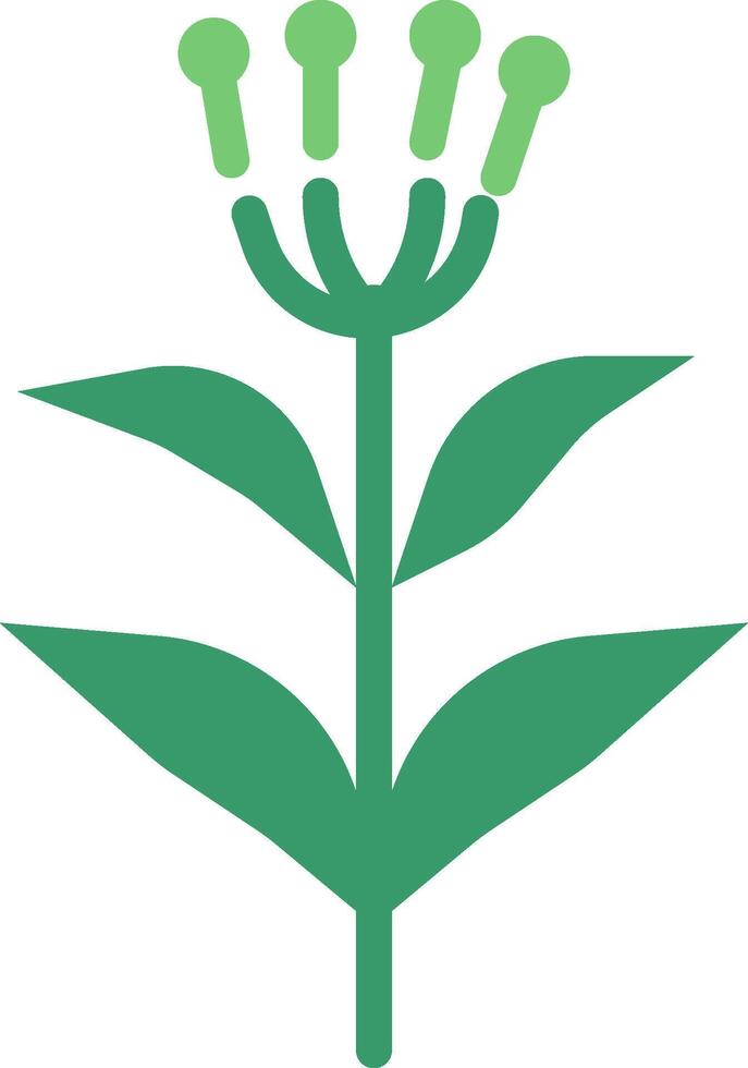 A green plant with four leaves vector