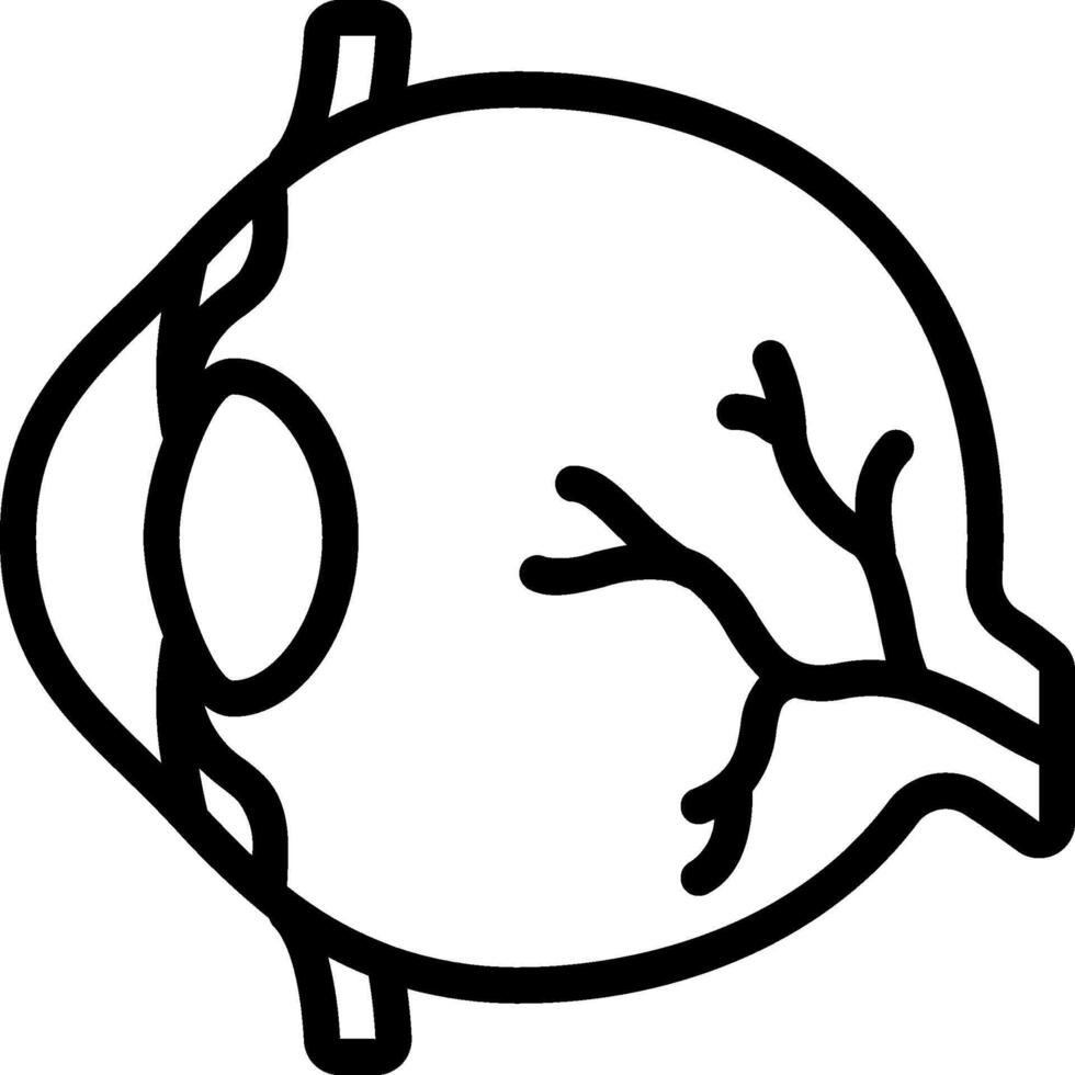 An outline of a human eye vector
