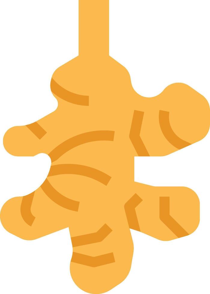 A ginger root is shown in a cartoon style vector