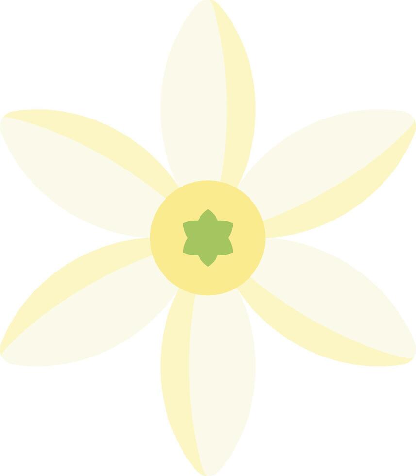 A yellow flower with green center on a white background vector