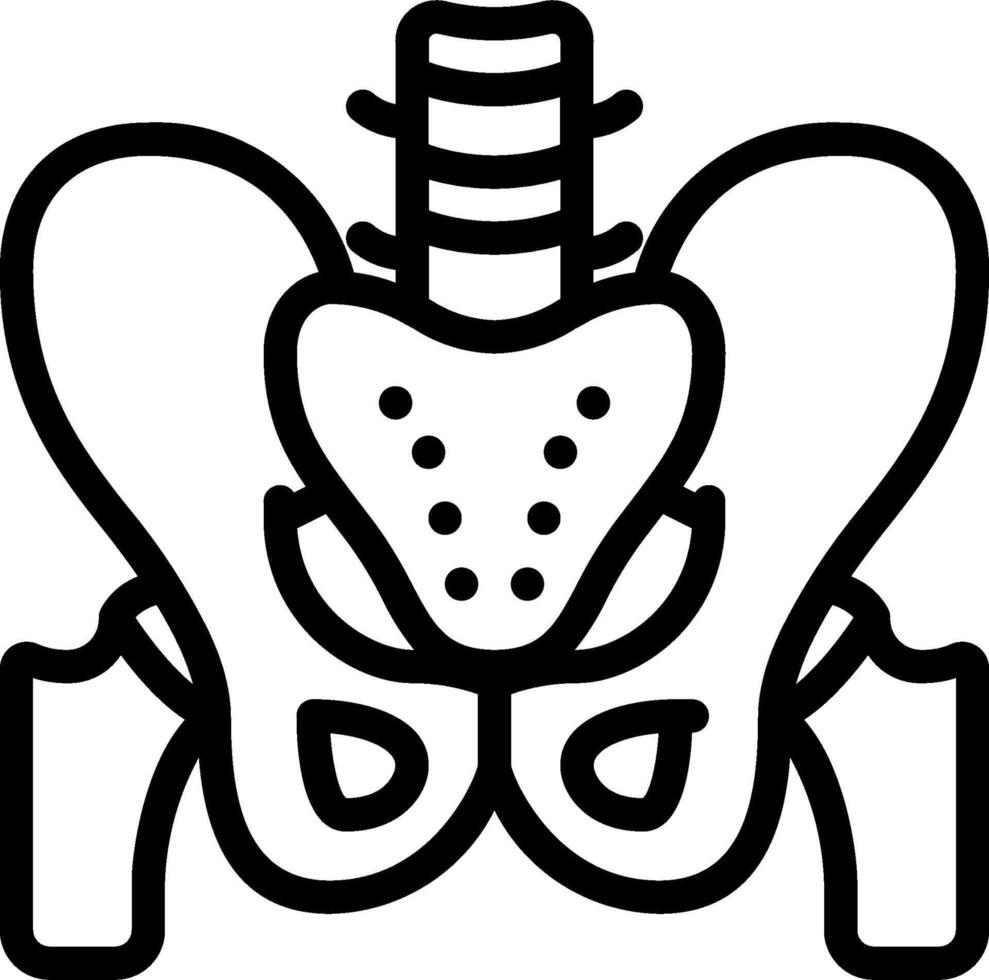 A black and white outline of a human pelvis vector