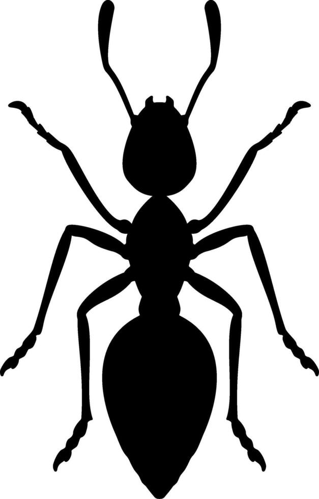 Ant clip art vector