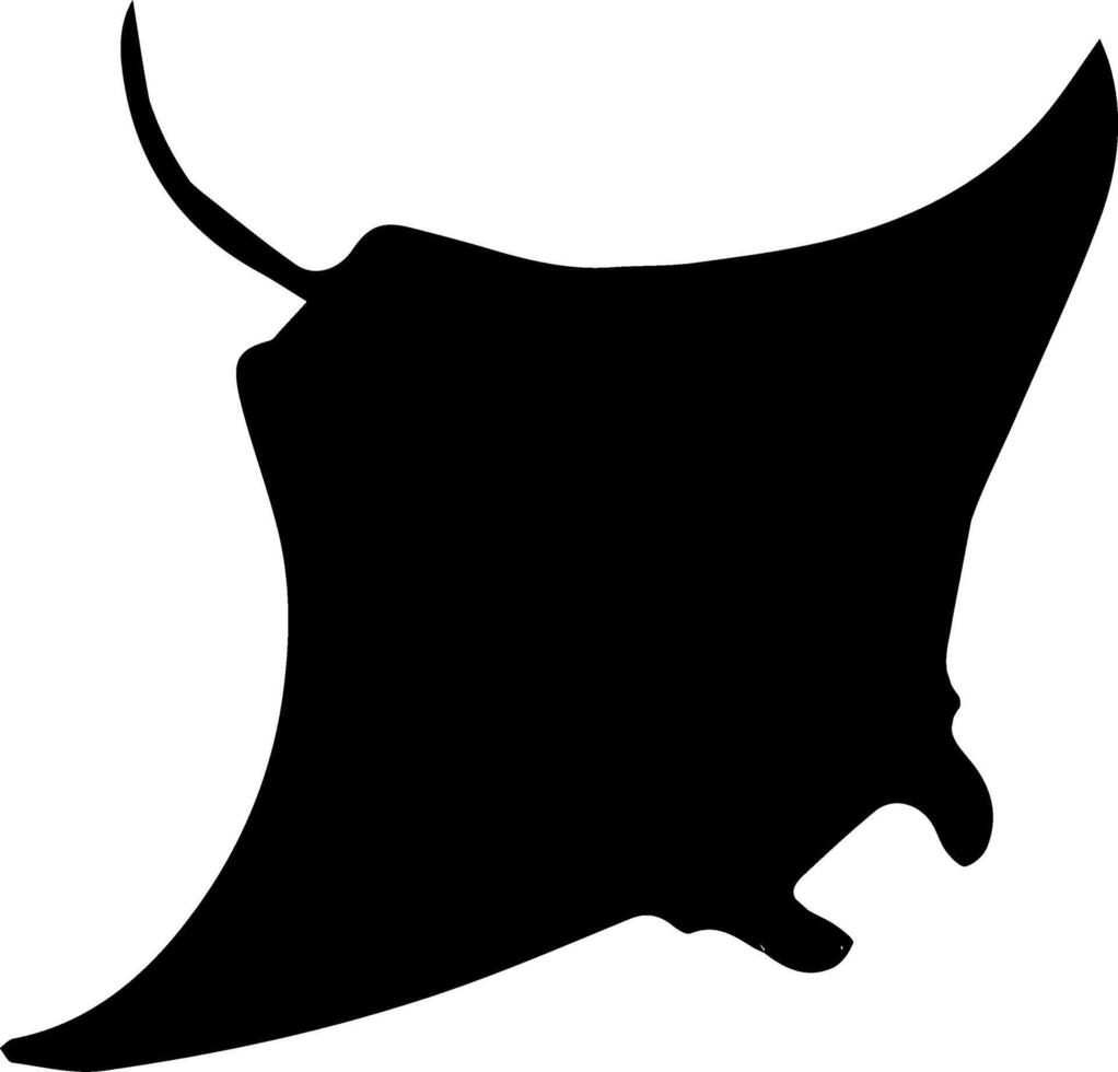 A black and white silhouette of a manta ray vector