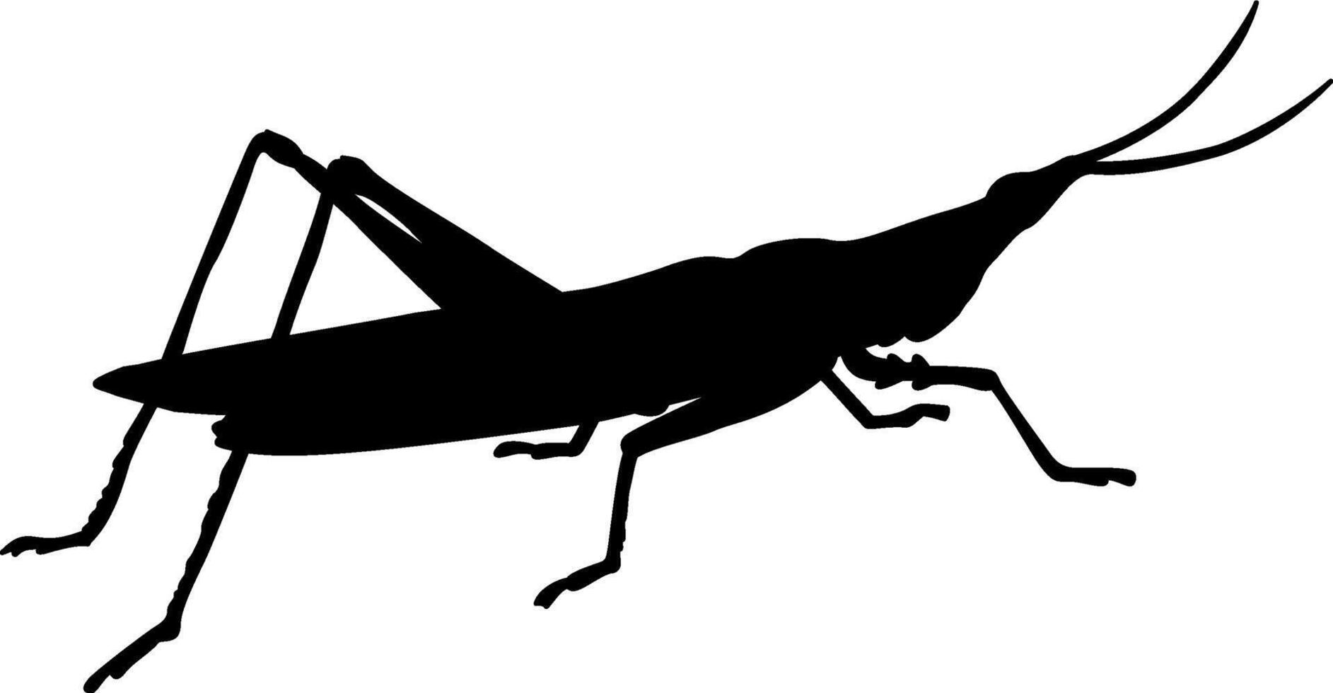 A silhouette of a grasshopper on a white background vector
