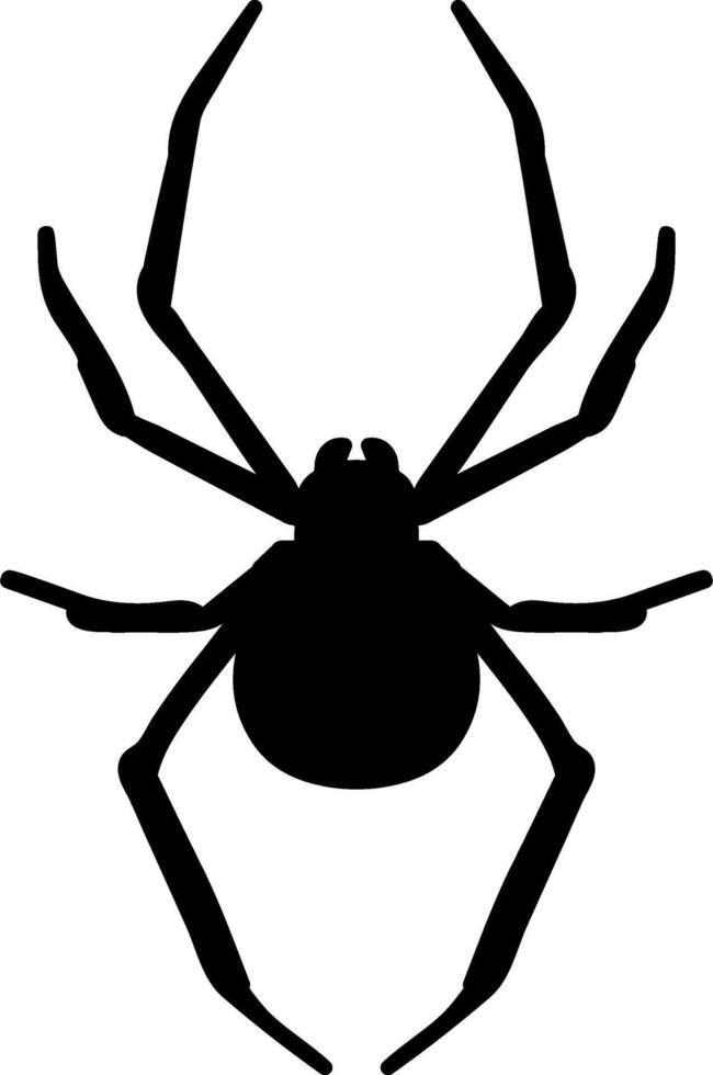 A black and white spider silhouette on a white background vector
