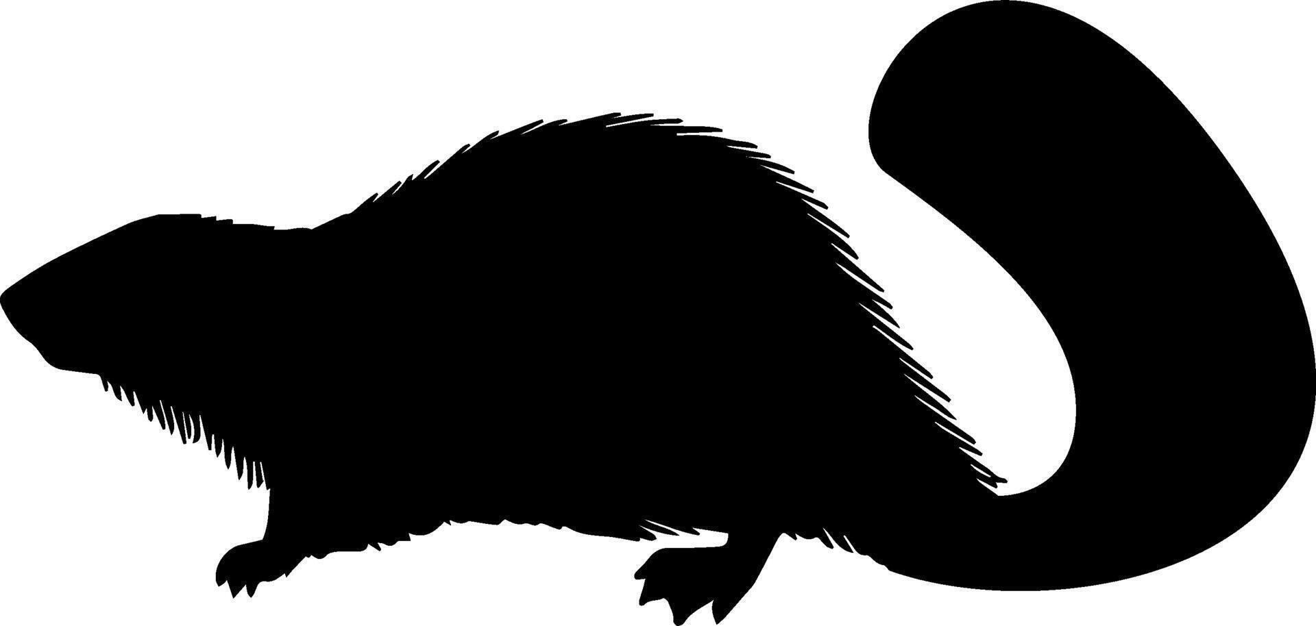 A black and white silhouette of a beaver vector