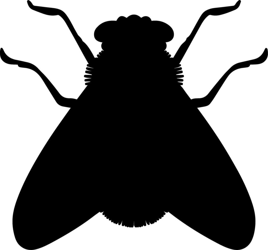 A black and white silhouette of a fly vector