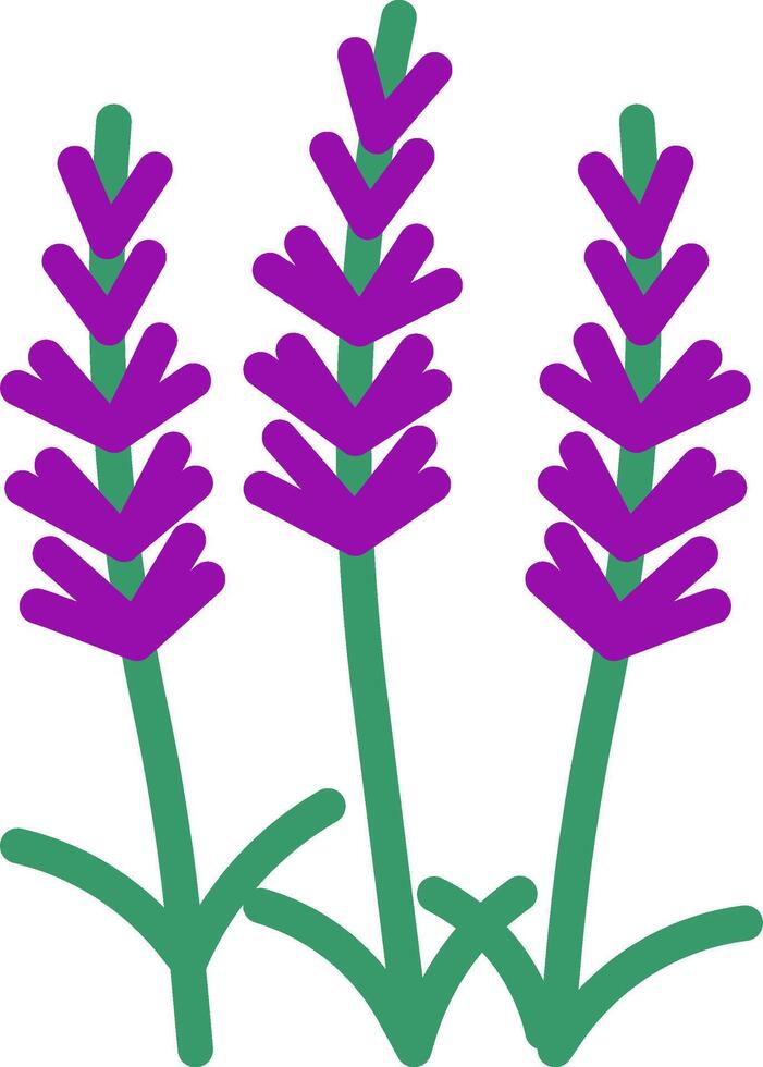 Lavender flowers clipart vector