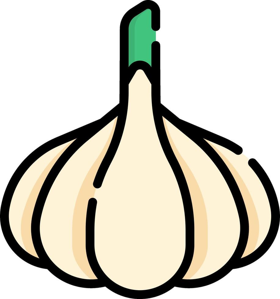 A garlic bulb on a white background vector