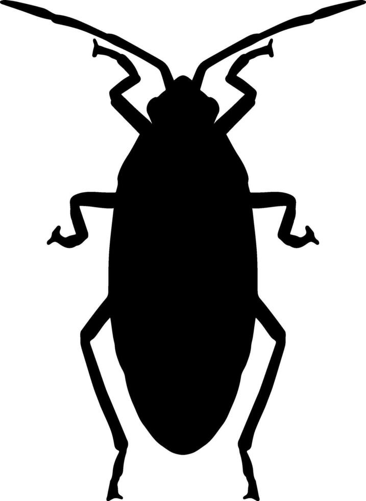 A black and white silhouette of a bug vector
