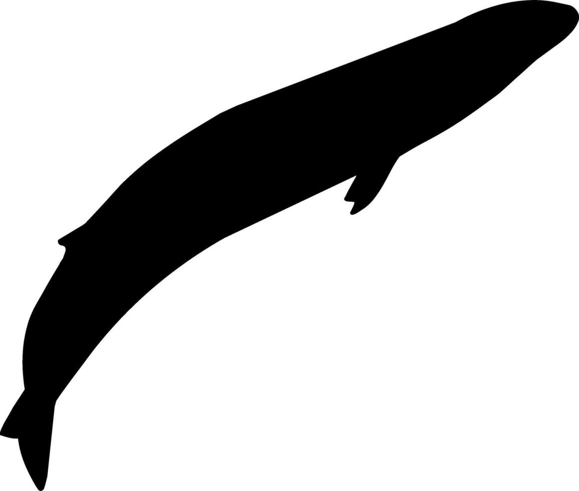 A black and white silhouette of a whale vector
