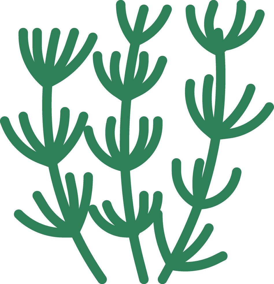 A green plant with leaves on it vector