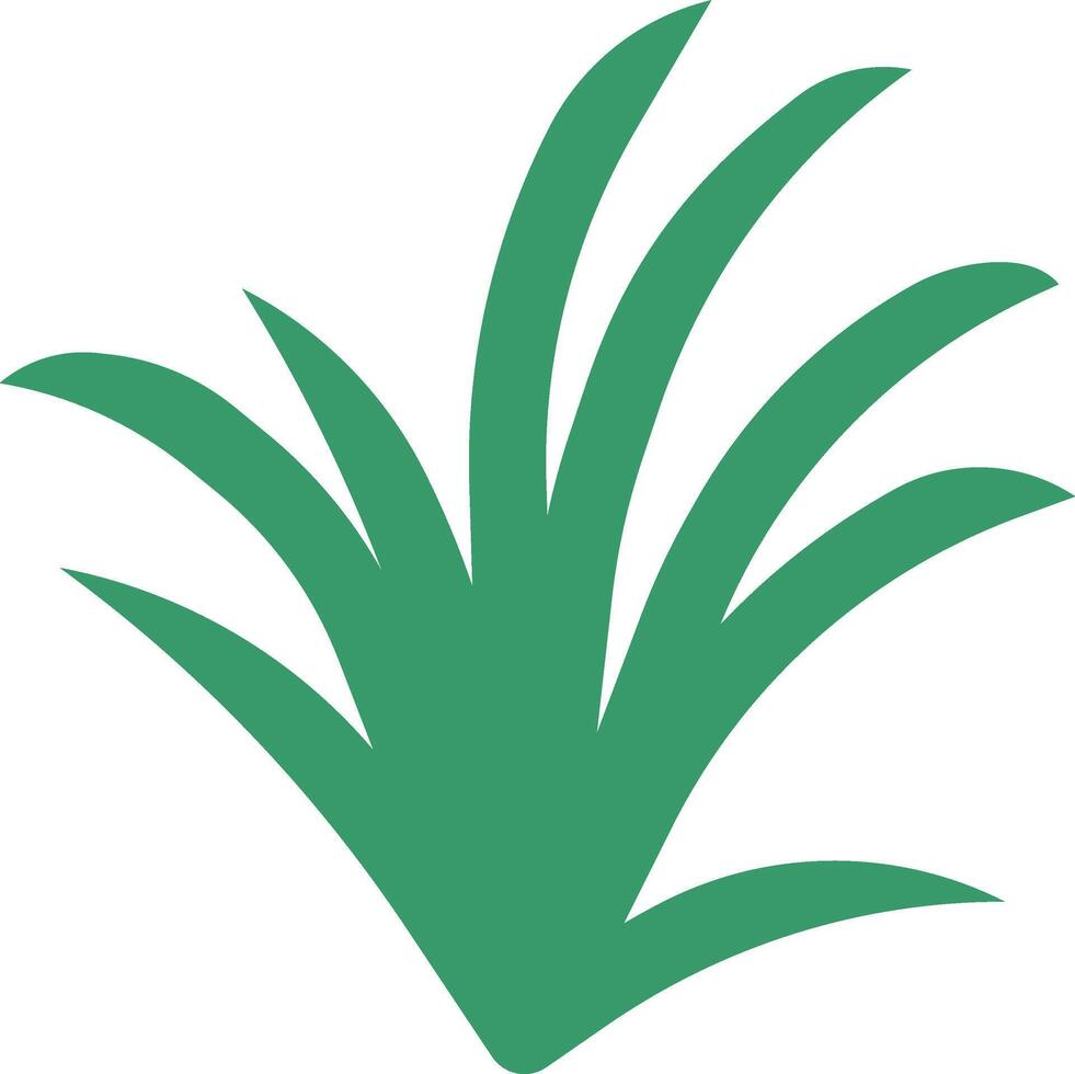 A green plant with leaves on it vector