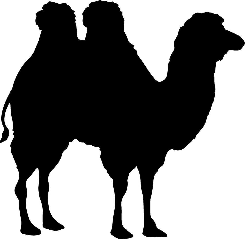A camel silhouette is shown on a white background vector
