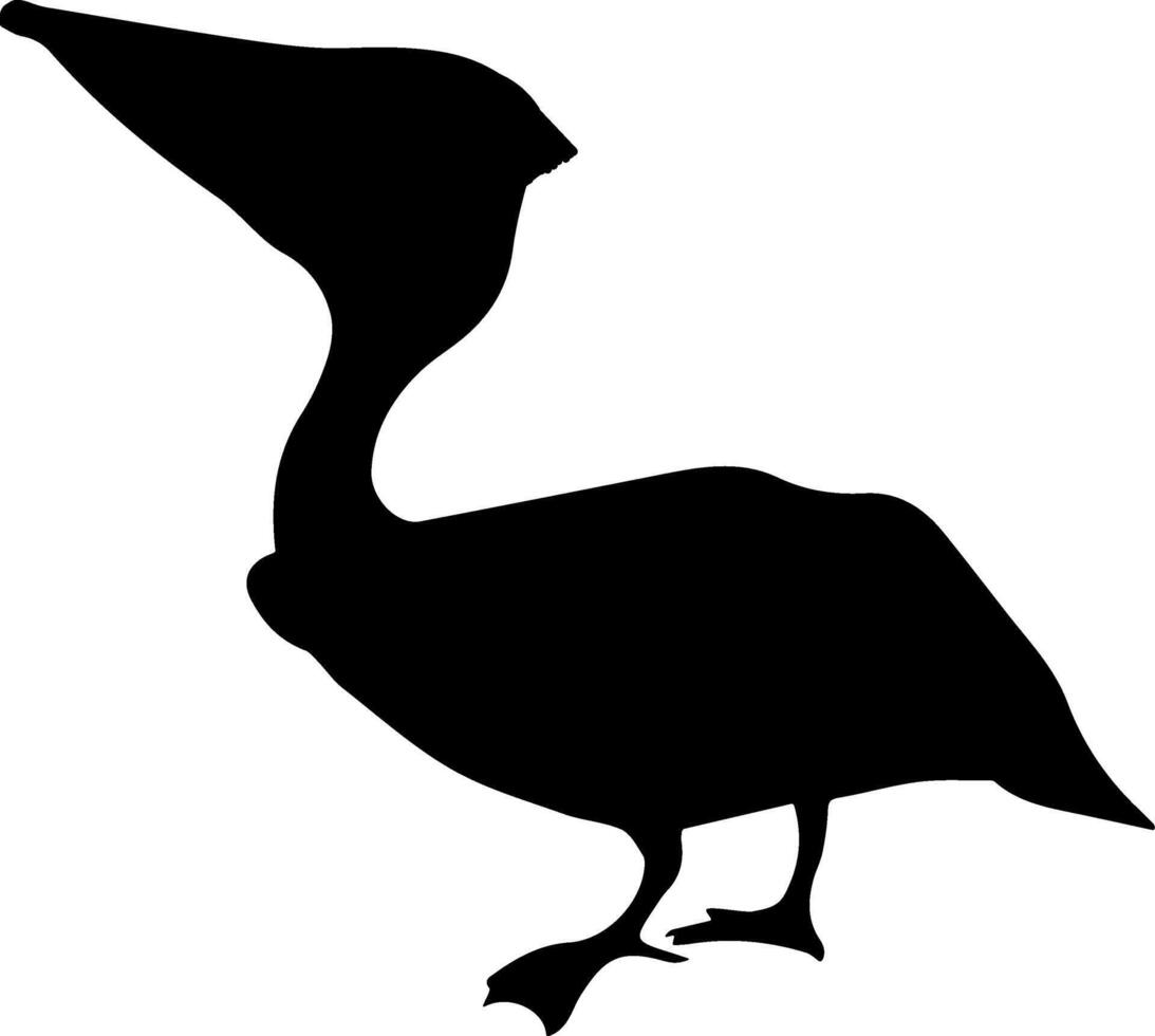Pelican silhouette clip art vector