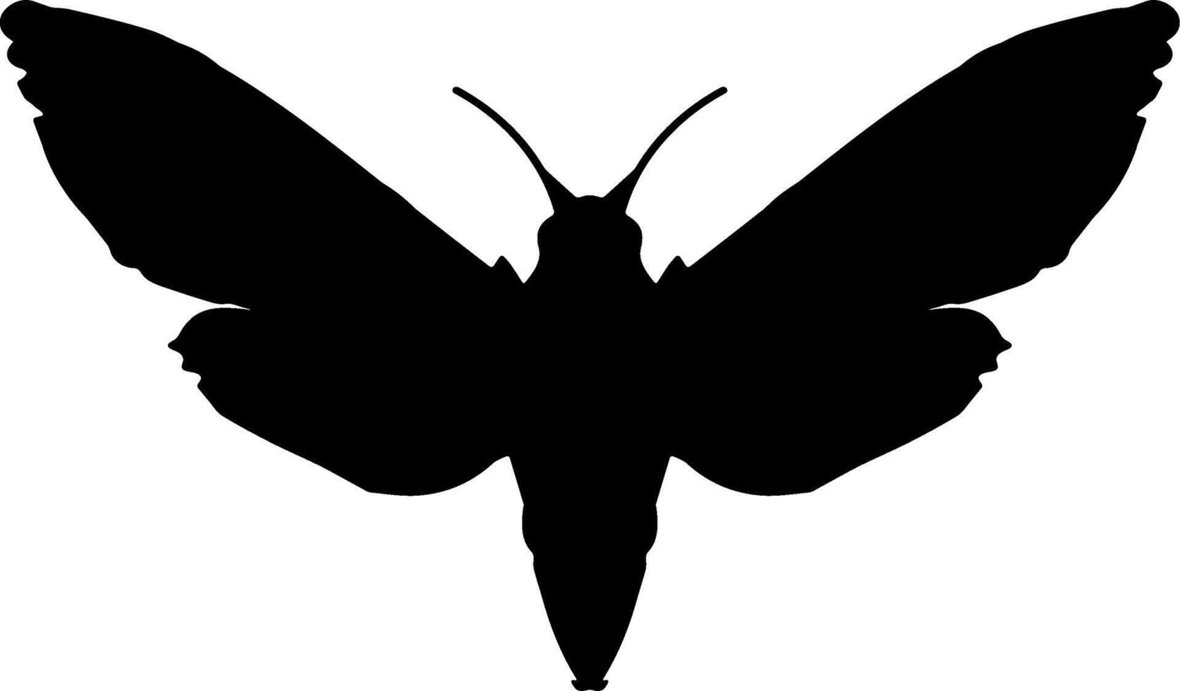 A black and white silhouette of a butterfly vector