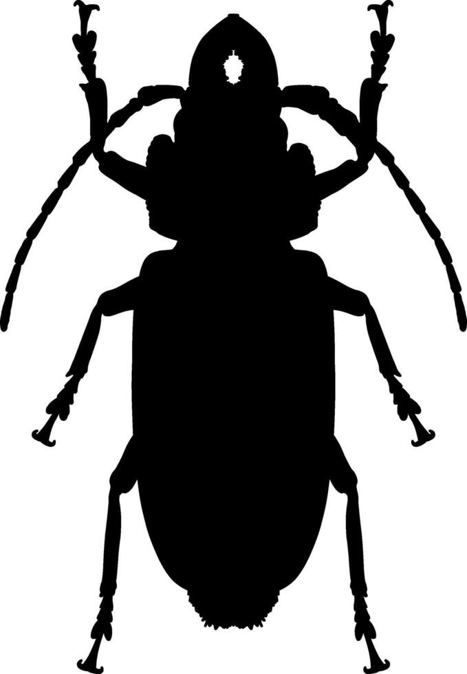 A silhouette of a bug with long legs vector