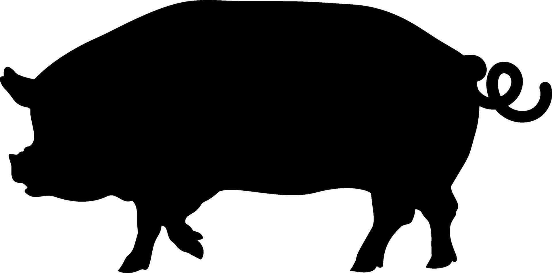 A silhouette of a pig standing on a white background vector