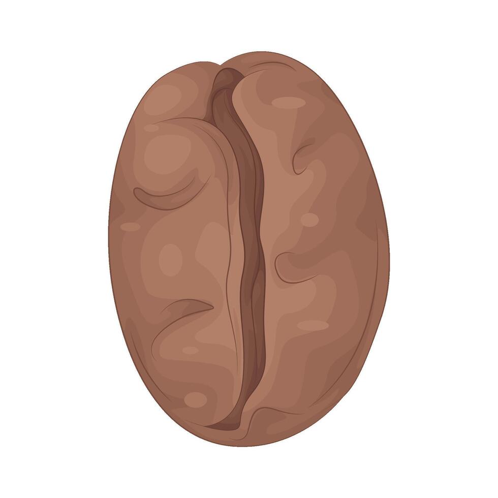 Illustration of coffee beans vector