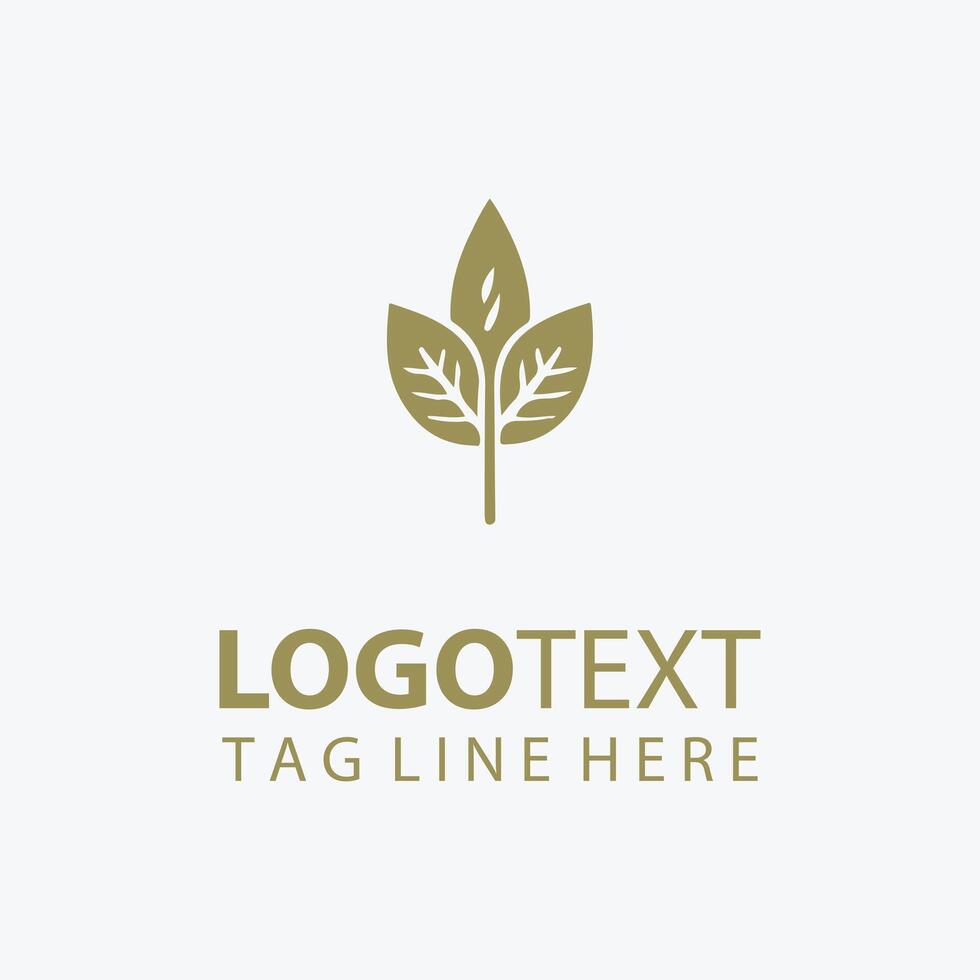 Amber Birch autumn plant logo vector