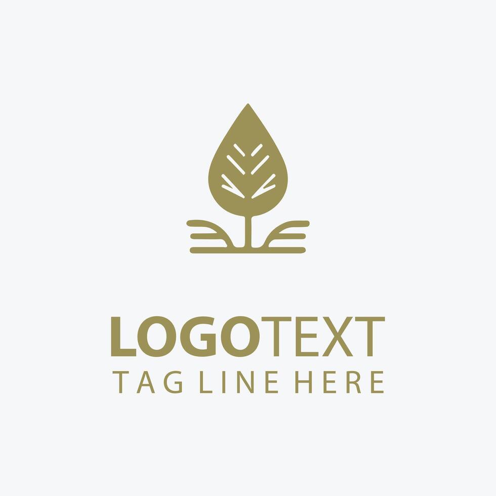 Birch Glow autumn plant logo vector