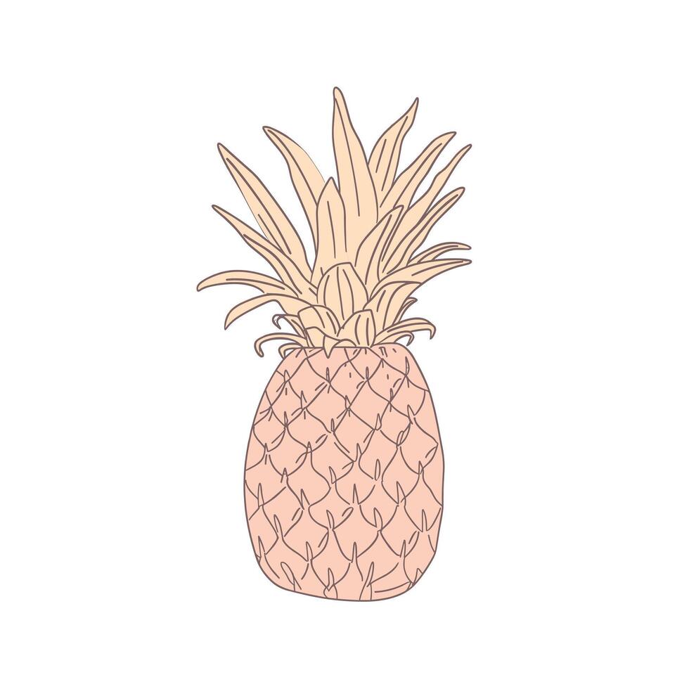 Simple drawing of a pineapple on plain background vector