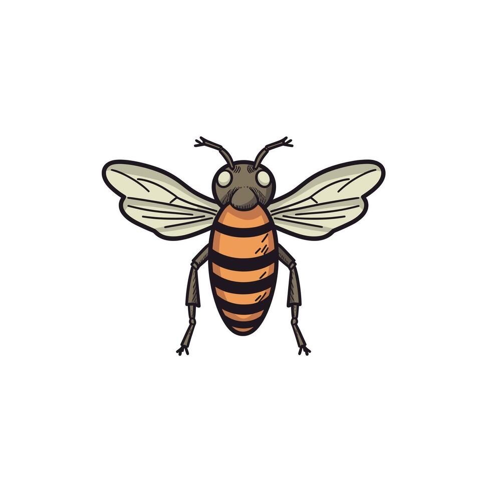 Detailed depiction of a striped bee with wings vector