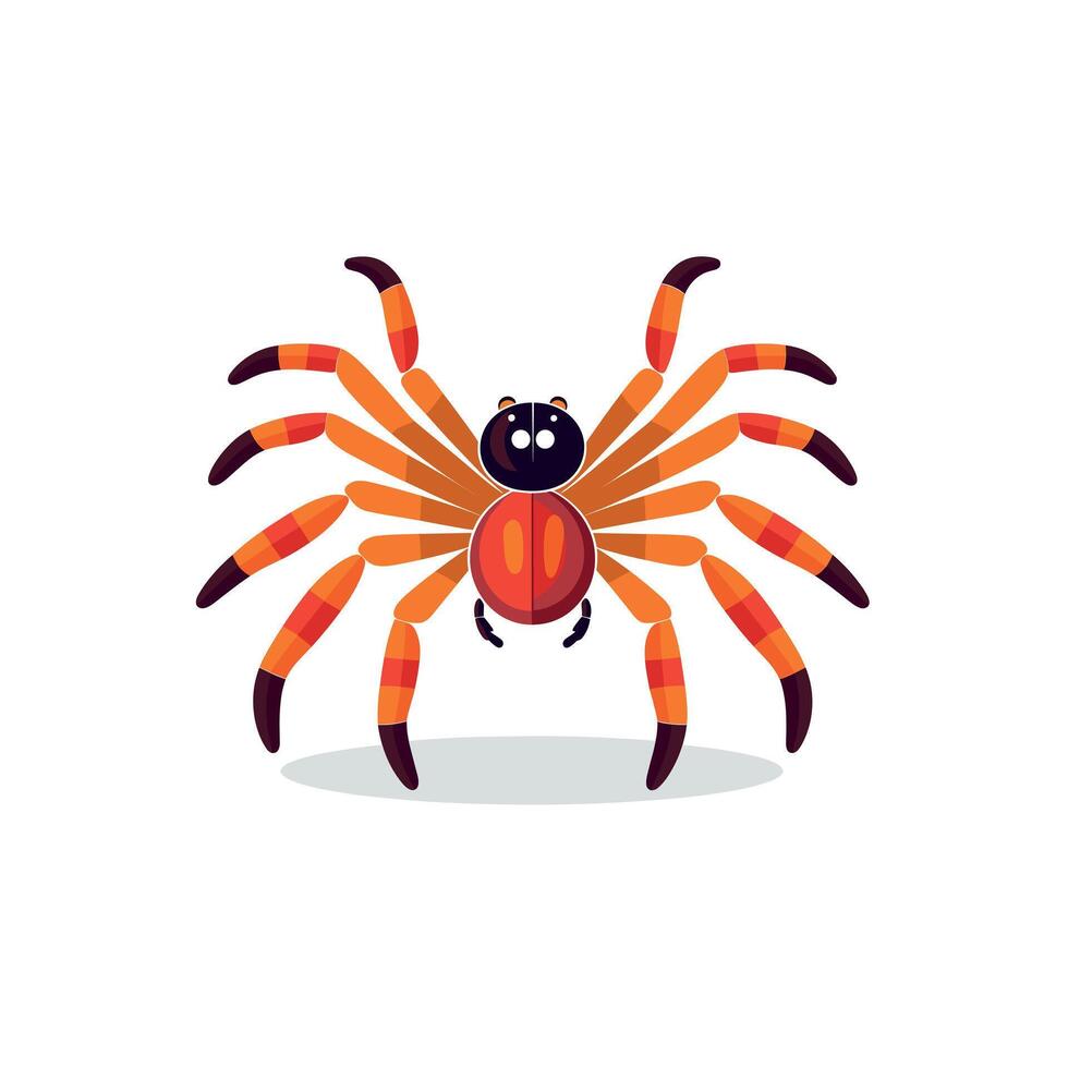 Colorful spider with bright orange and black patterns on a white background vector
