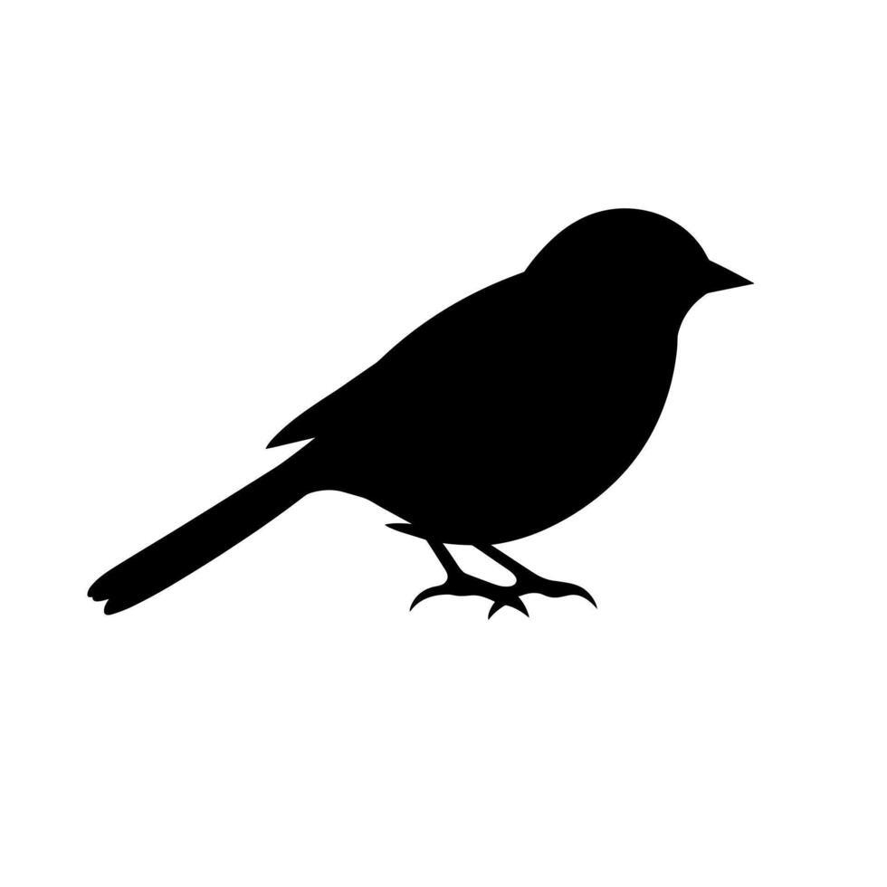 Silhouette of a small bird perched, showcasing its delicate outline and features vector