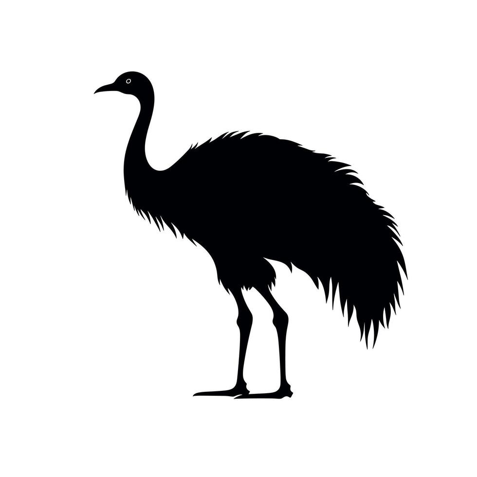 Silhouette of a tall bird with long legs and feathers standing on white background vector