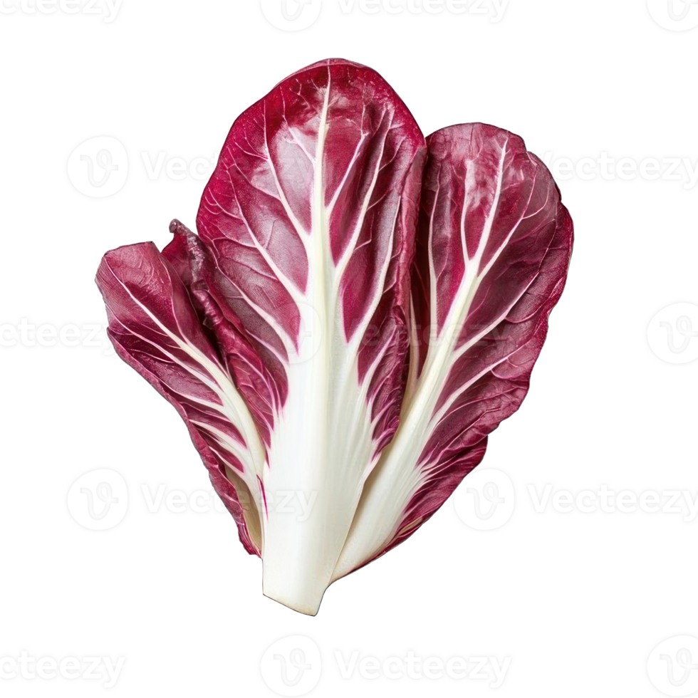 Collection of . A Red and White Radicchio Vegetable, isolated on a transparency background. png