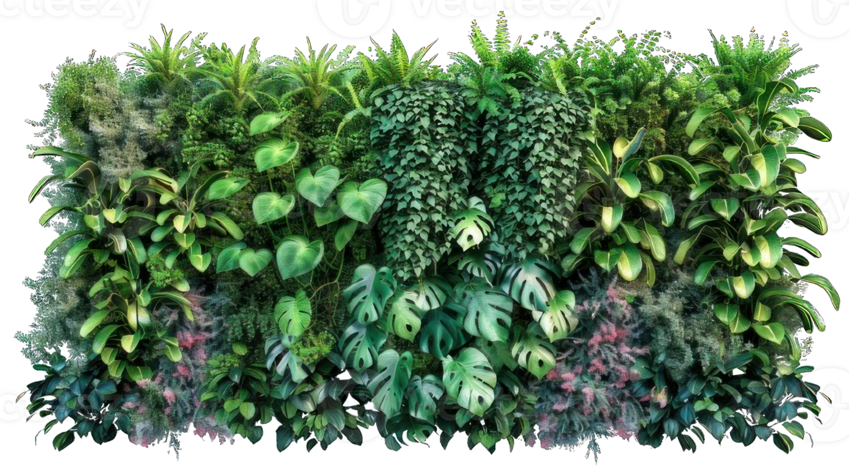 Collection of . Green Garden Wall from Tropical Plants, isolated on a transparency background. png