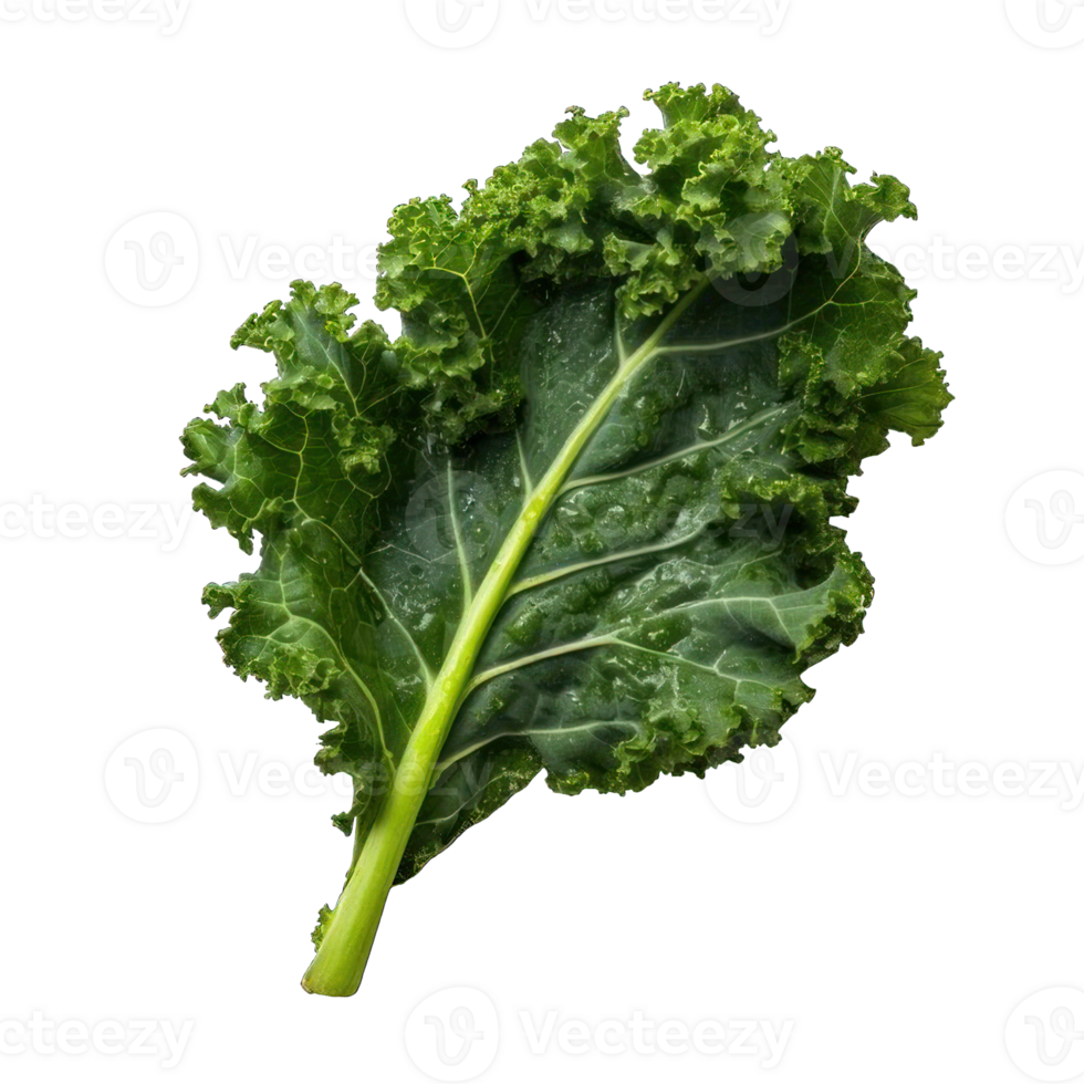 Collection of . Kale, isolated on a transparency background. png