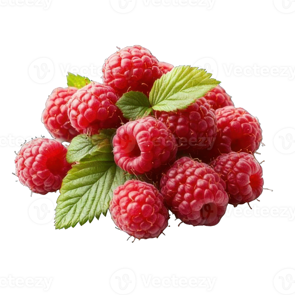 Collection of . A Cluster of Ripe Red Raspberries on a Branch with Green Leaves, isolated on a transparency background. png