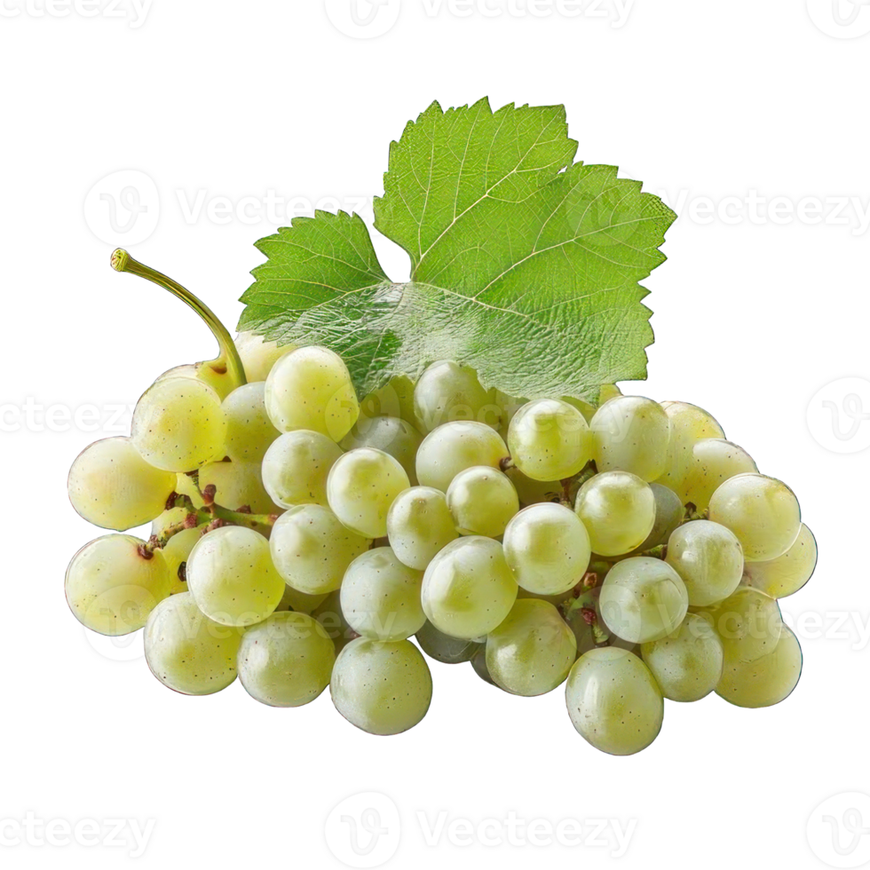 Collection of . A Cluster of Green Grapes with Leaf, isolated on a transparency background. png