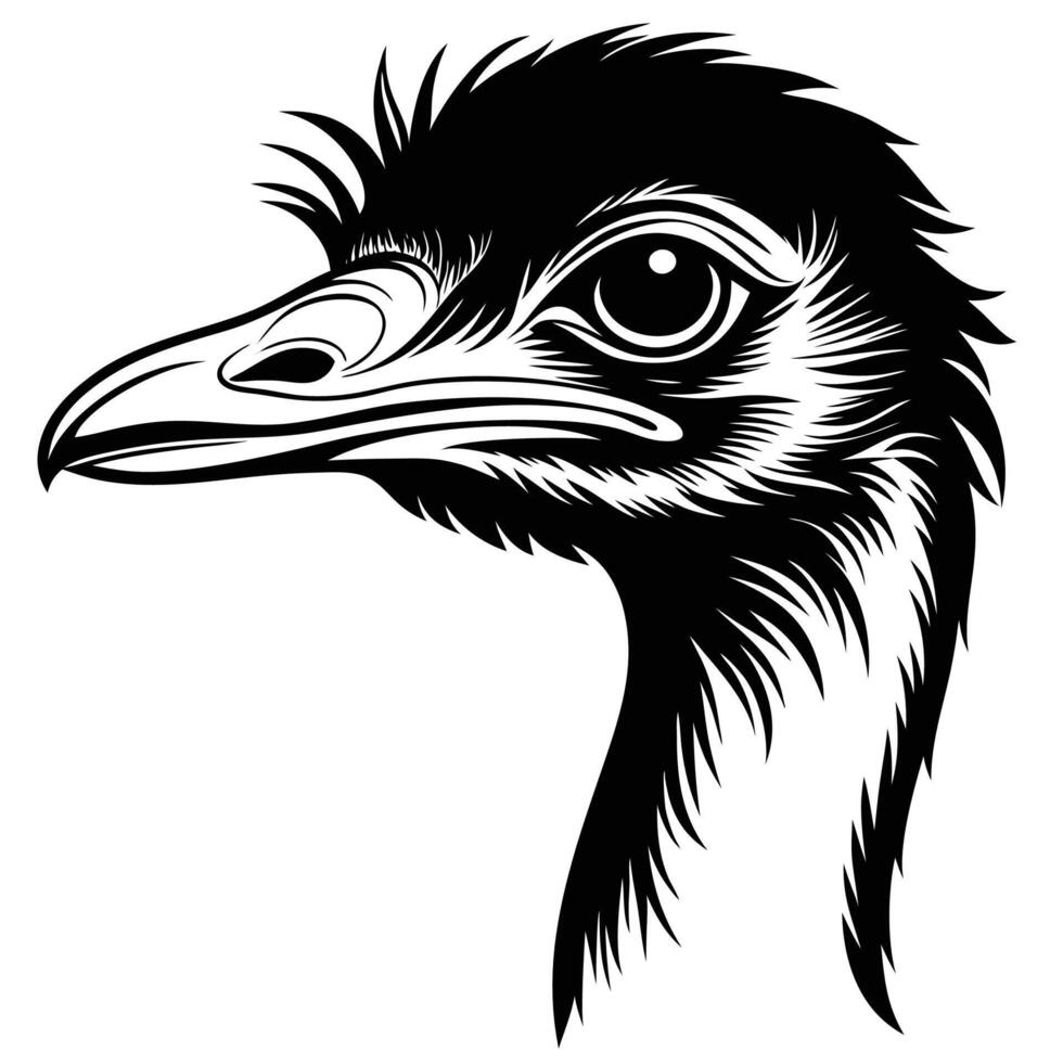 an ostrich head in a black and white drawing vector