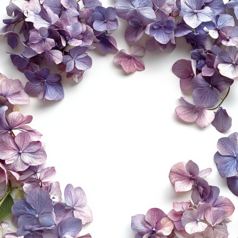 Beautiful watercolor illustration of hydrangea flowers arranged in a decorative frame photo