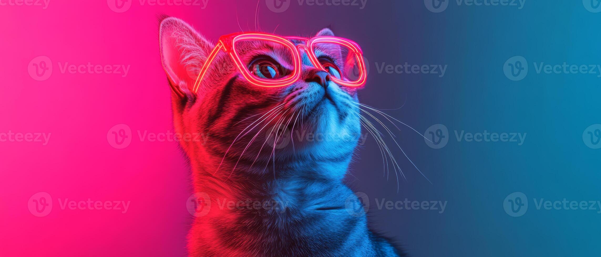 A cat wearing glasses on a colorful background photo