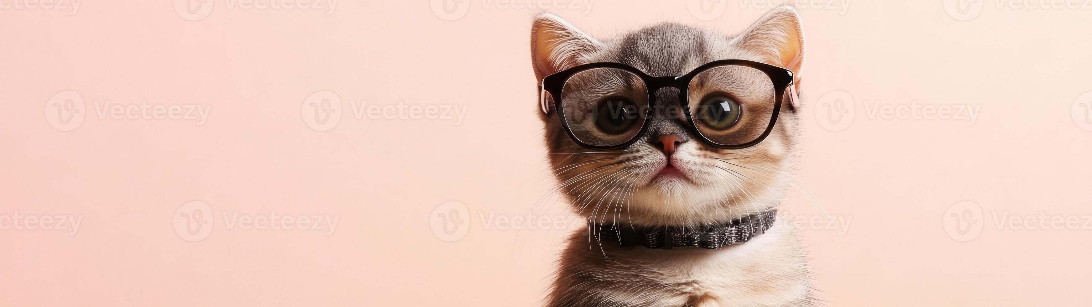 A cat wearing glasses on a pink background photo
