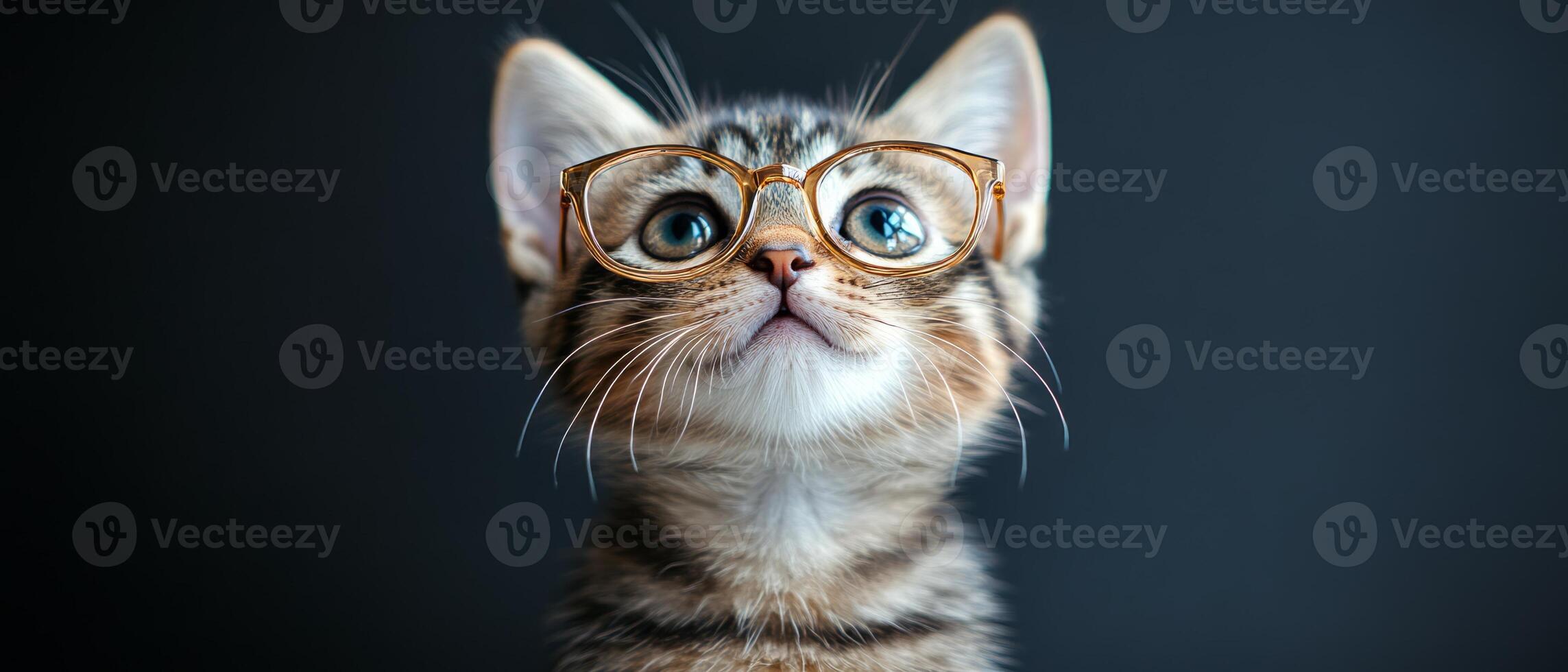 A cat wearing glasses on a dark background photo