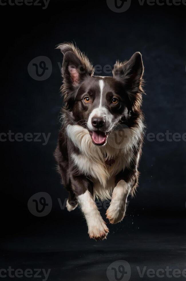 A dog joyfully leaps in mid-air against a dark background, showcasing its playful energy. photo