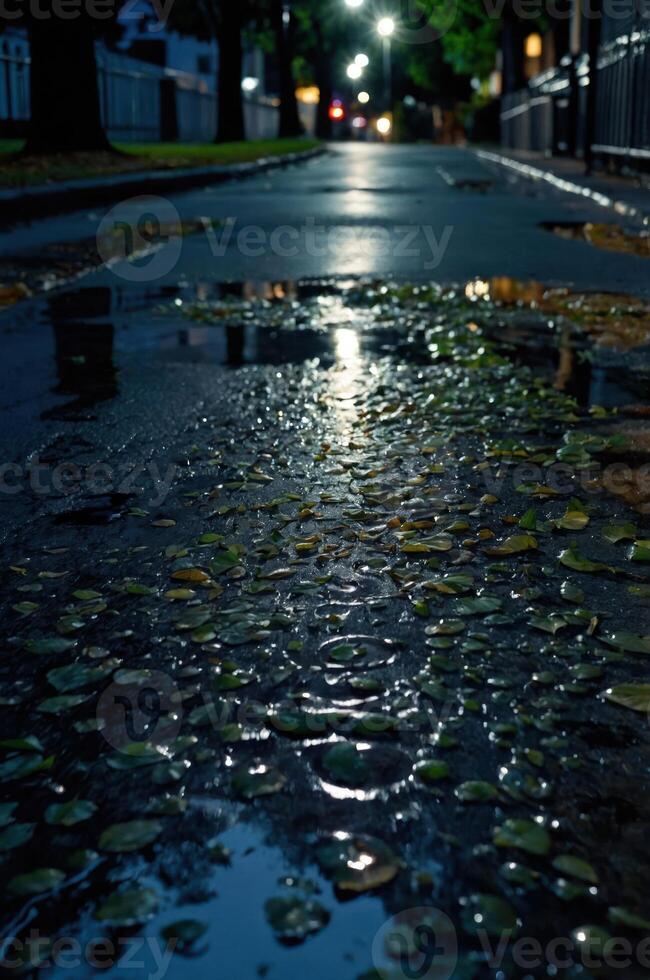 A wet street reflecting light and scattered leaves after rain. photo