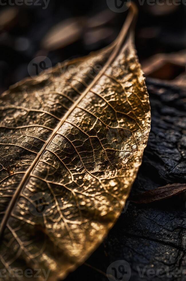 A close-up of a golden leaf resting on dark, textured material, highlighting nature's beauty. photo