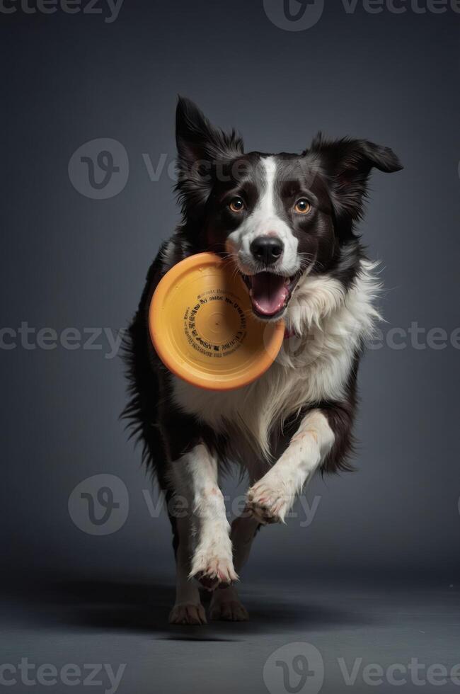 A joyful dog running with a frisbee in its mouth, showcasing playfulness and energy. photo