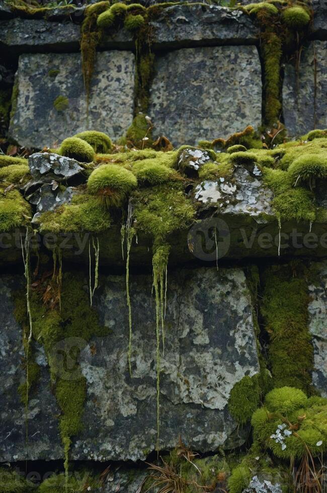 A moss-covered stone wall with dripping water, showcasing nature's reclaiming of structures. photo