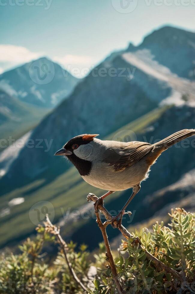 A bird perched on a branch with mountains in the background, showcasing nature's beauty. photo
