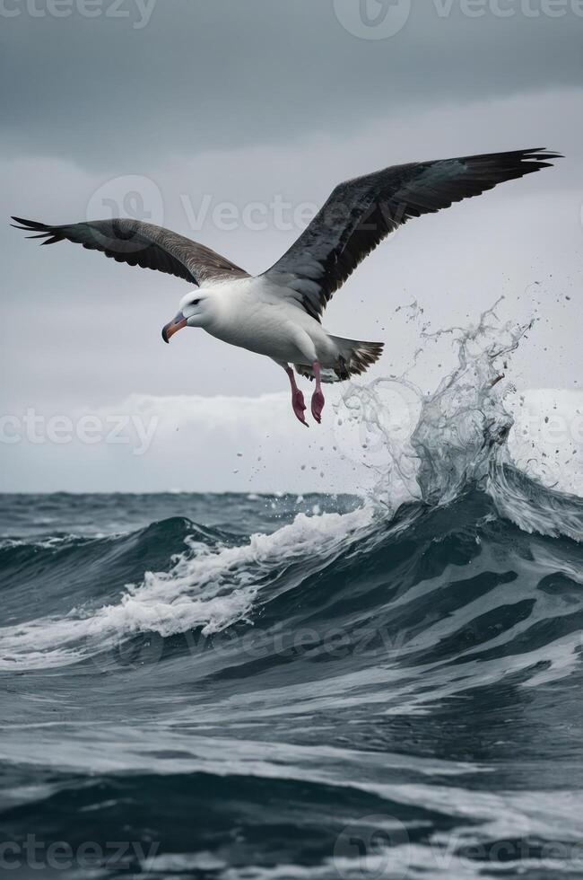 A seagull flying over ocean waves under a moody sky. photo