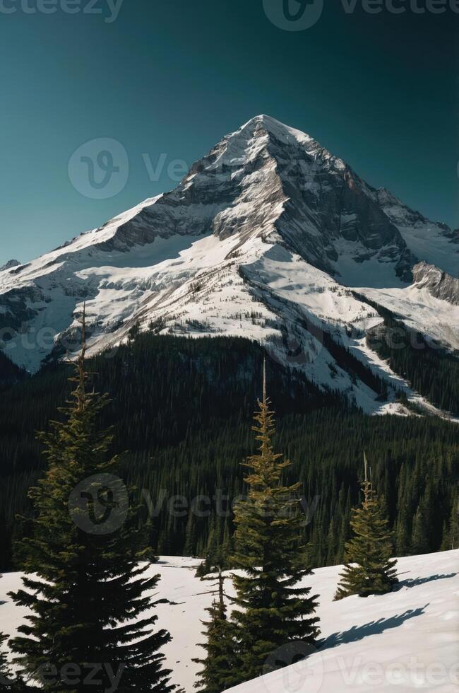 A majestic snow-capped mountain rises above a forest of evergreen trees under a clear sky. photo