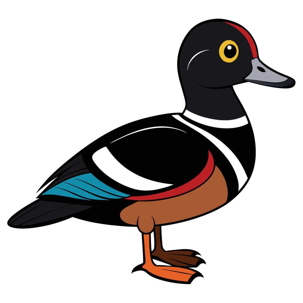 Wood duck cartoon illustration vector