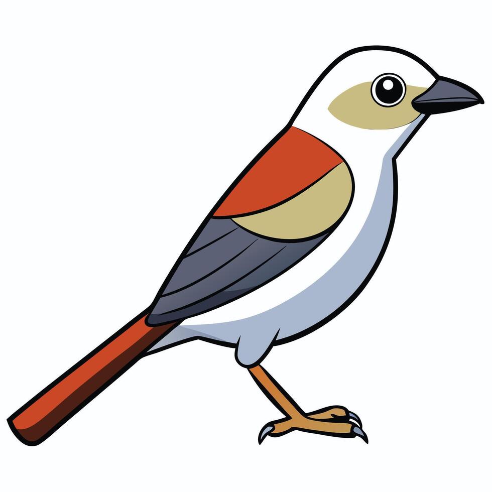 A cartoon bird with red, white and black feathers vector